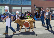 Garrett and Kasey Kane, of LaCrosse, dressed their steers for the parade